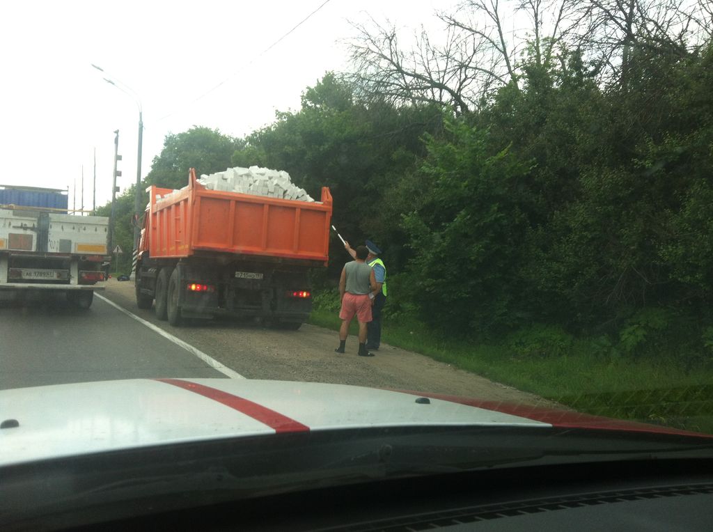 ������ ����