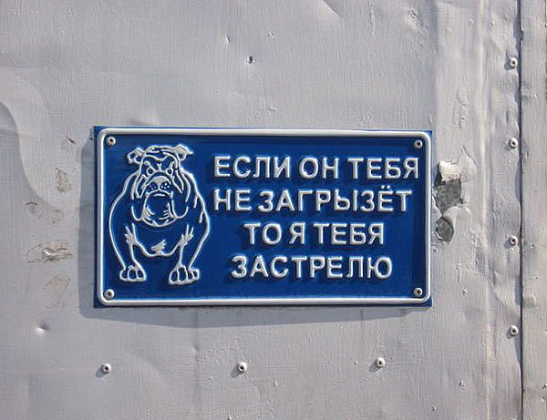 ������ ��������