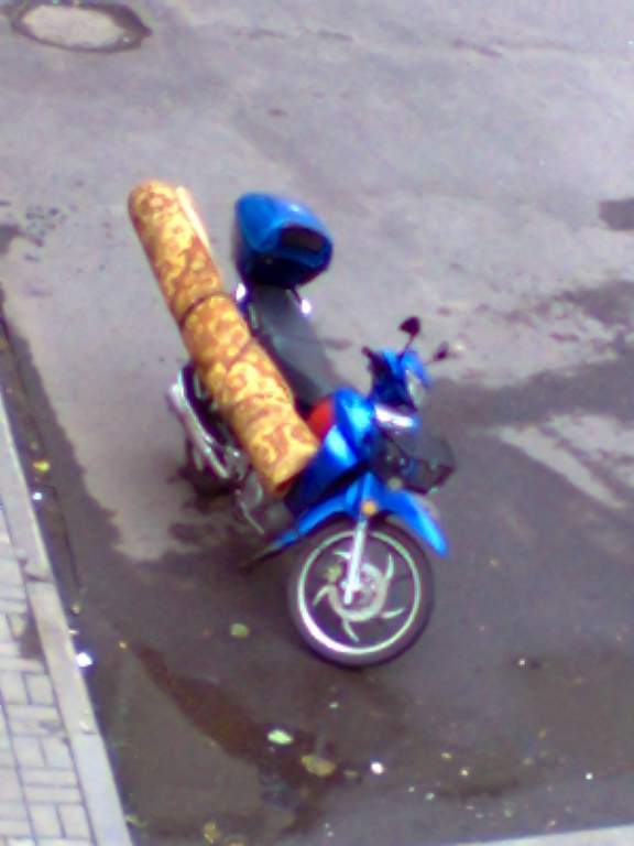 ������ ��������