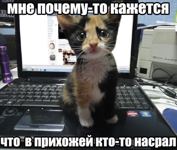 ������ ��������