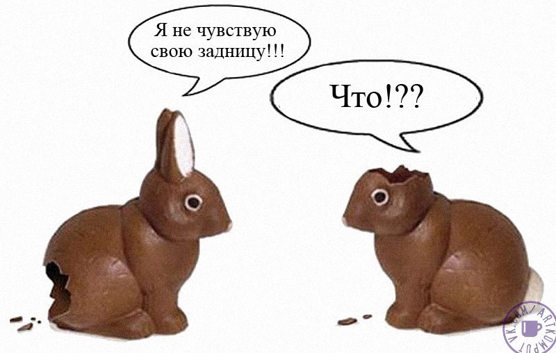 ������ ��������