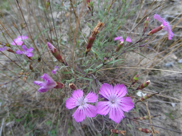 ������������ � ����: ������������, ������, ������