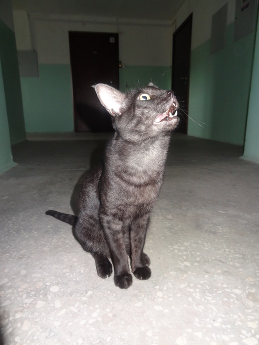 ������������ � ����: ������������, ������, ������