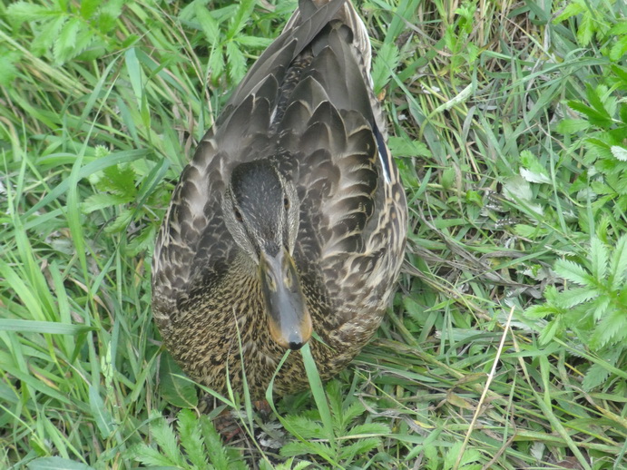 ������������ � ����: ������������, ������, ������