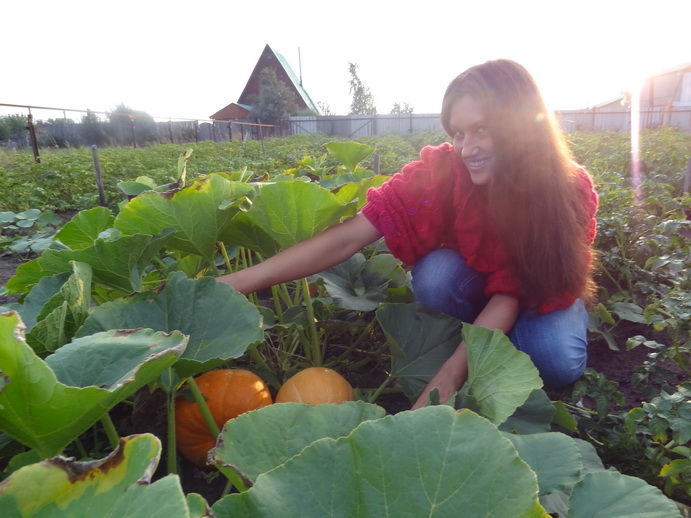 ������������ � ����: ������������, ������, ������