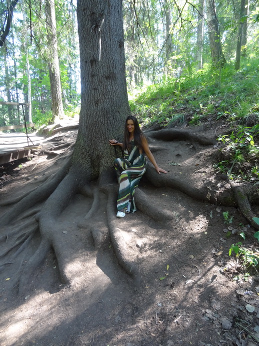 ������������ � ����: ������������, ������, ������