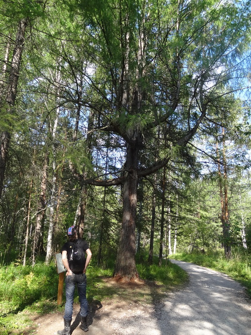 ������������ � ����: ������������, ������, ������