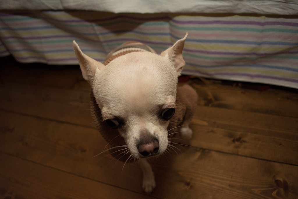 ��� ����� �������� �������?