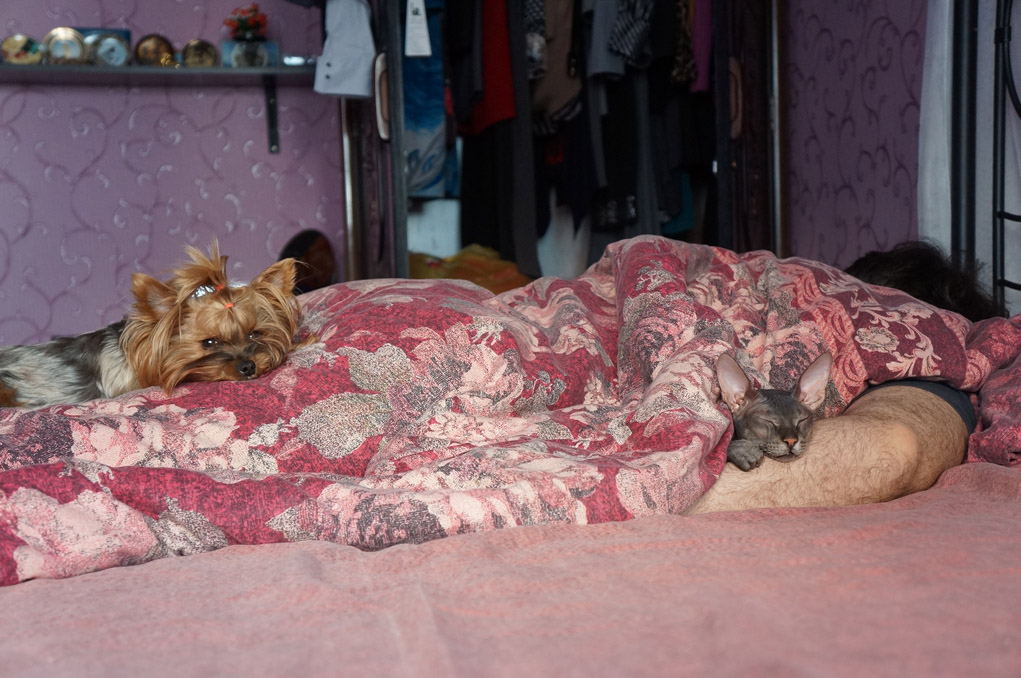 ��� ����� �������� �������?