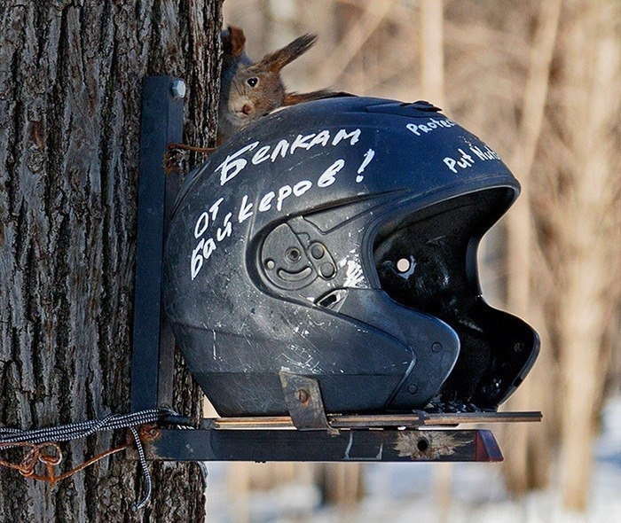 ������ ��������