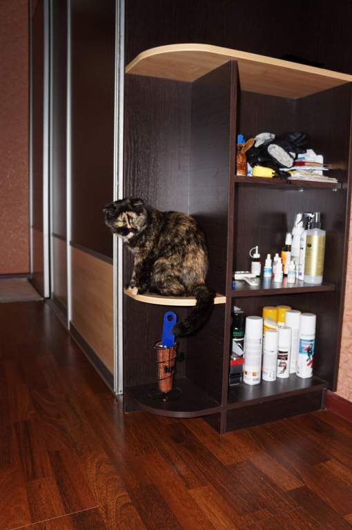 ��� ����� �������� �������?