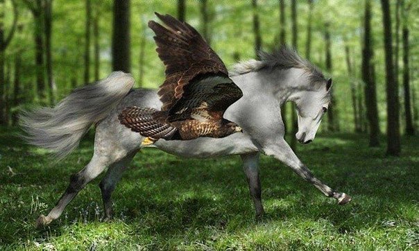 ������ ��������