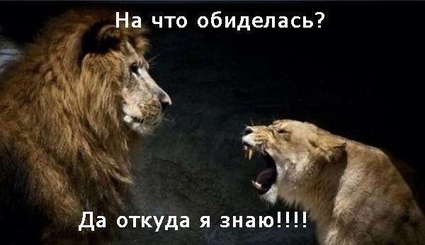 ������ ��������