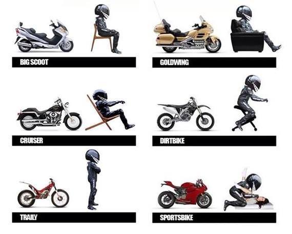 ������ ��������