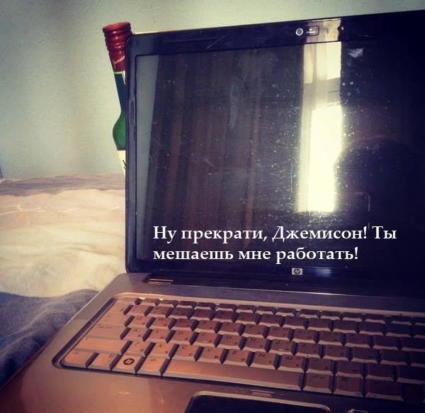 ������ ��������