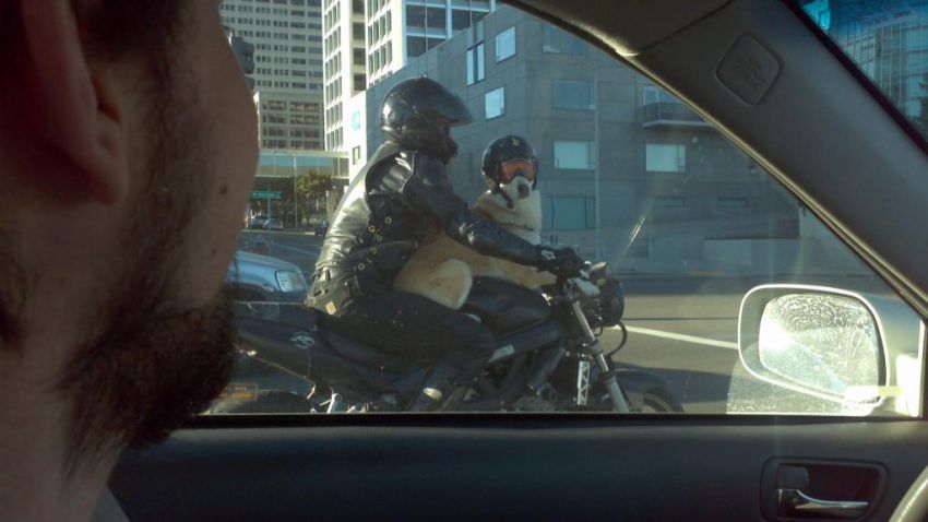 ���������� ���� ��������