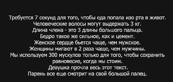 ������ ��������