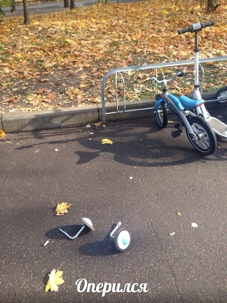 ������ ��������