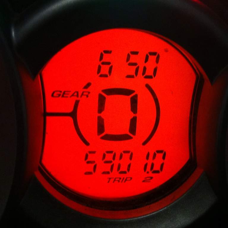 ����-���� ���� 2015