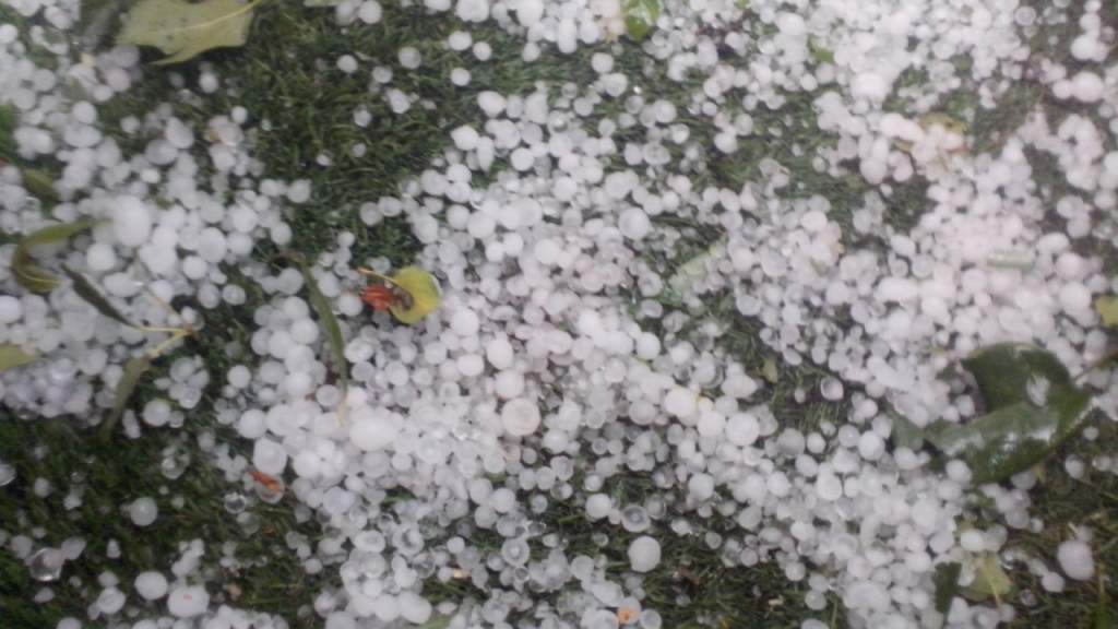 ��� ��� ��� ��� ������� (