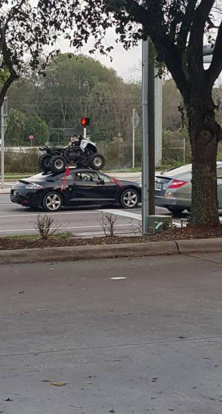 ���������� ���� ��������