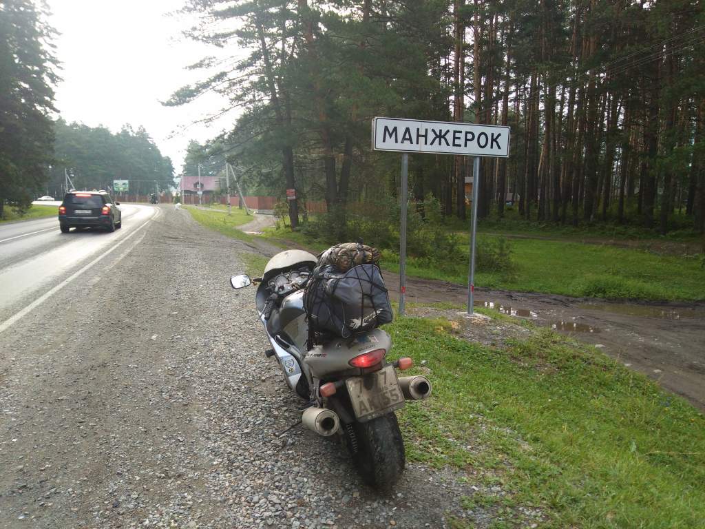       ))