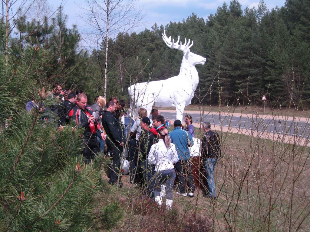 �������� 2011. ����, ������.