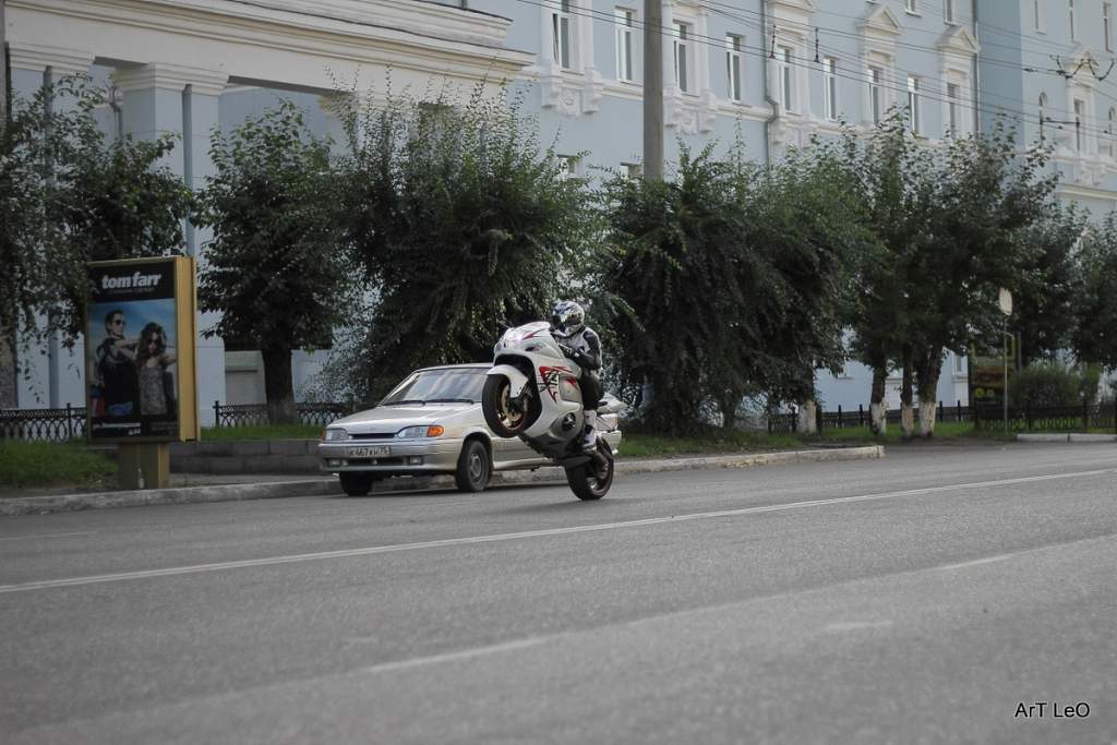 ��������. ���� 2011, ����