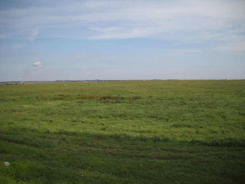 ���������-������� � �������