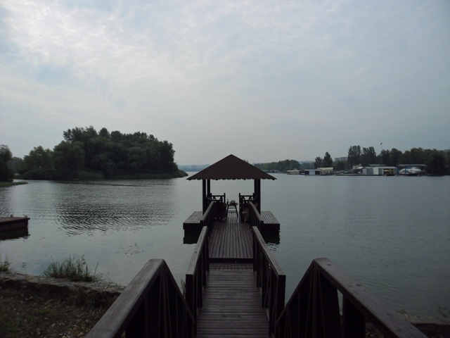 �������� 2011 ����