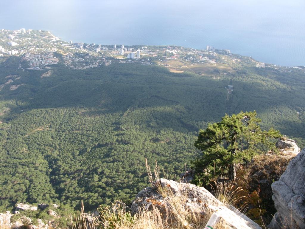 �������� 2011 ����