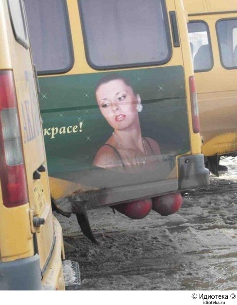 ������ ��������