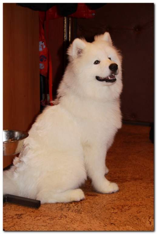 ��� ����� �������� �������?