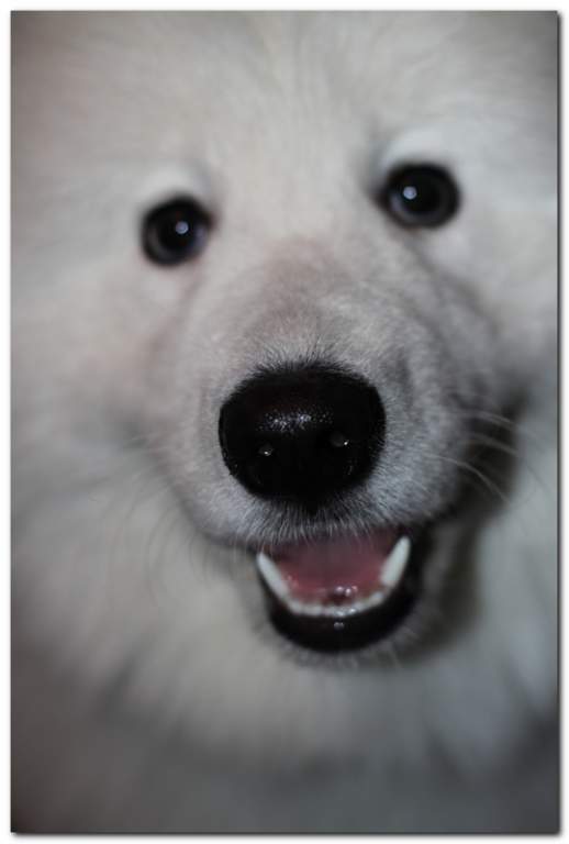 ��� ����� �������� �������?