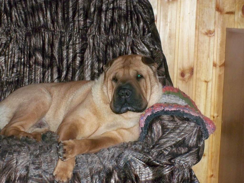 ��� ����� �������� �������?