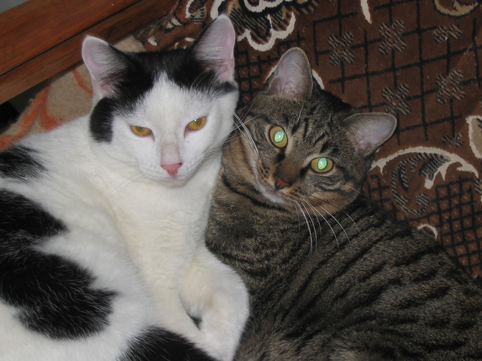 ��� ����� �������� �������?