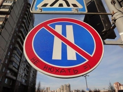 ������ ��������