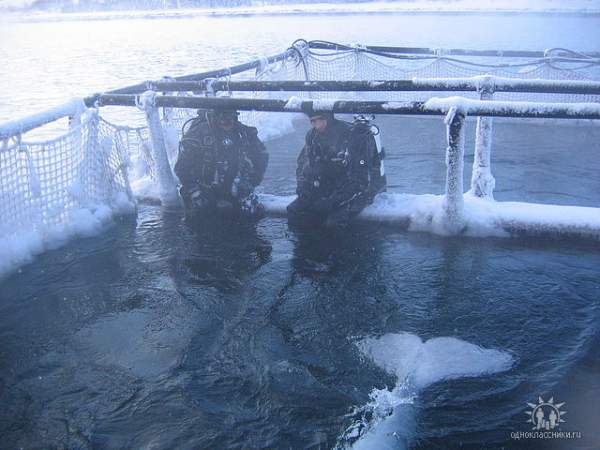 ��������� ������