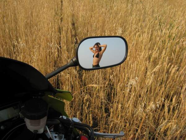 IMG 0179 �����.������